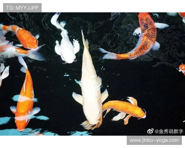 开运官网app下载为你提供专业的风水布局和运势分析，助力事业家庭双丰收